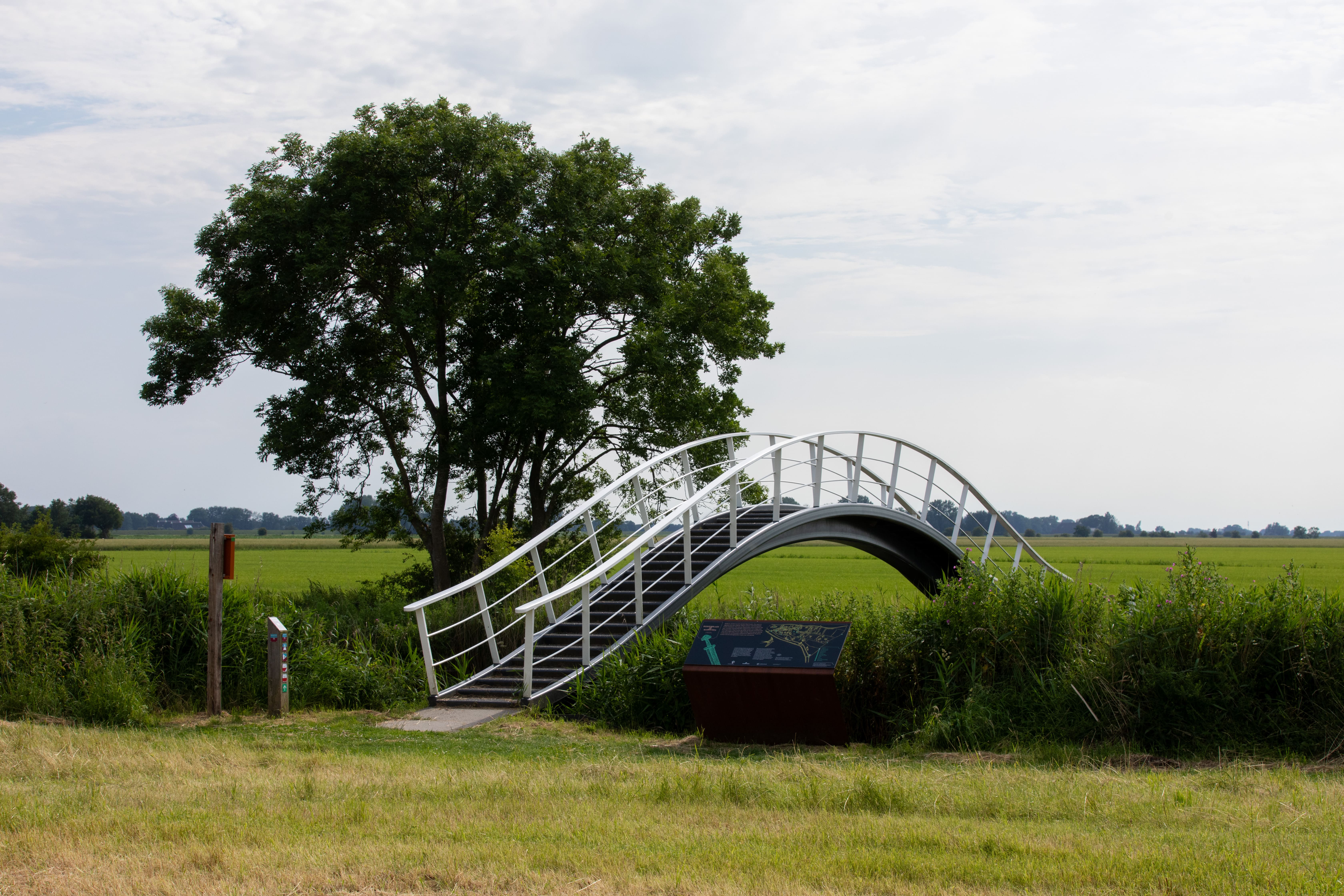 hoogholtjes 